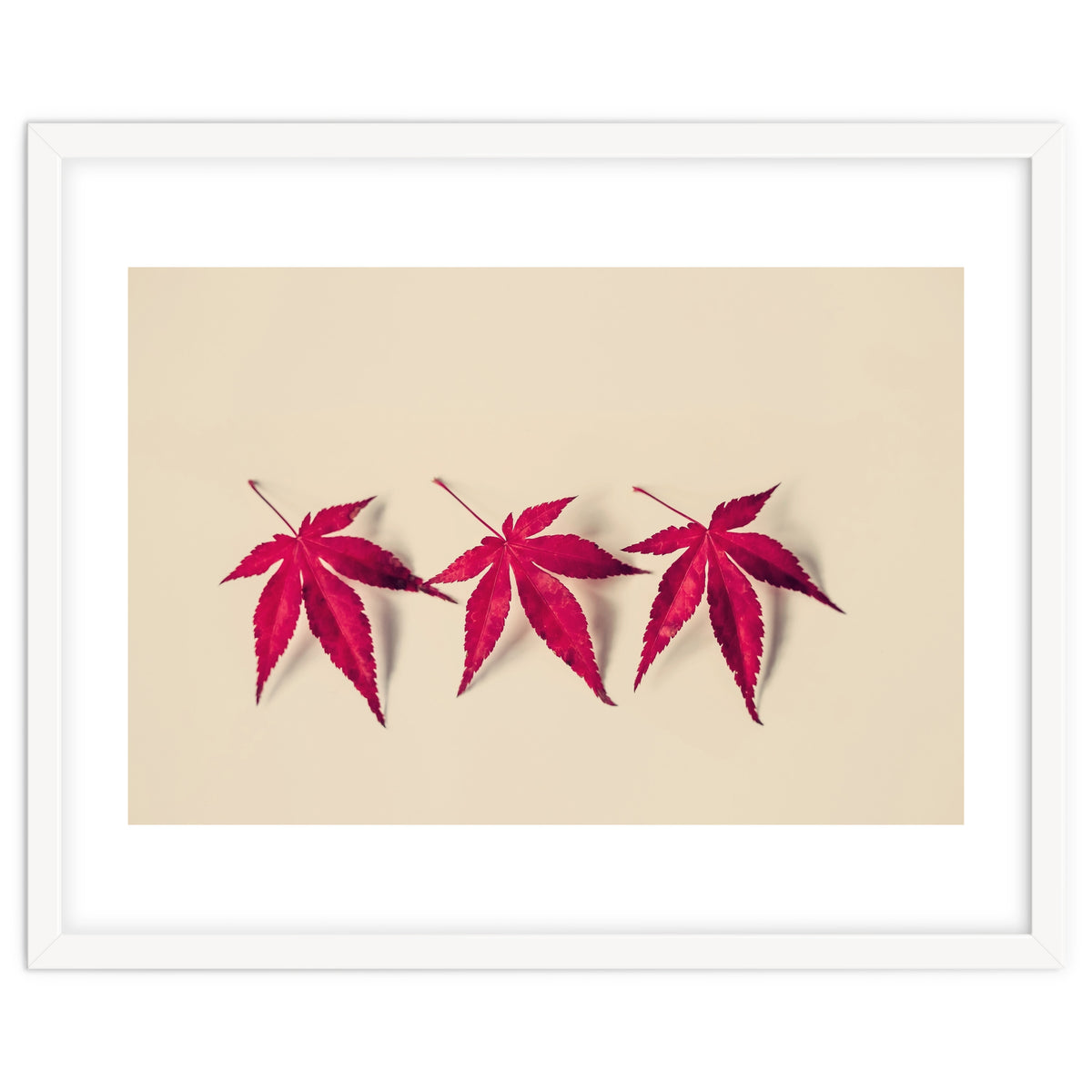 Dancing Leaves