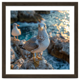 Seagull Standing On Rocks Near Water thumbnail