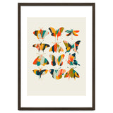 Colorful Butterflies thumbnail