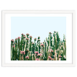 Blush Cactus #society6 #decor #buyart thumbnail
