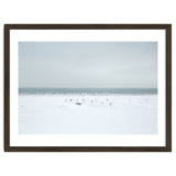 Seagulls in the Snow beach thumbnail