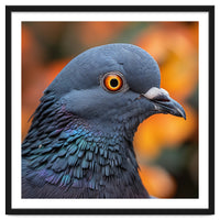 Close Up Of A Pigeon's Head And Neck
