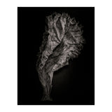 Leaves No 9 (Print Only) thumbnail