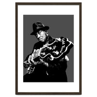 Taj Mahal American Blues Musician Legend