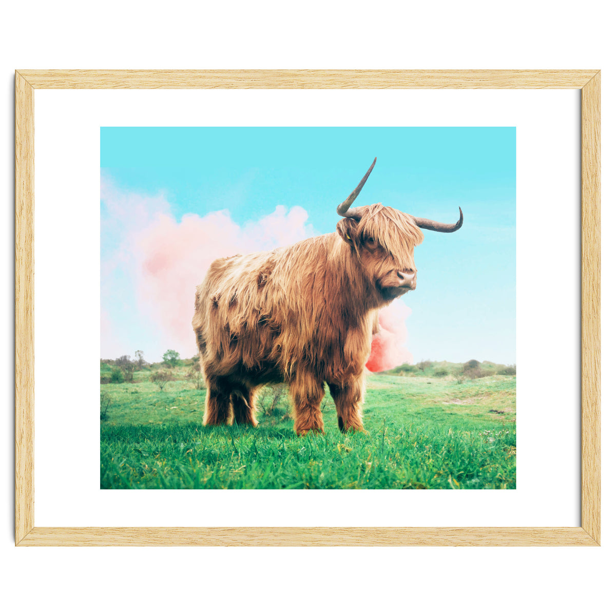 Highland Cow #society6 #decor #buyart