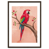 Red Macaw Parrot Bird Forest thumbnail