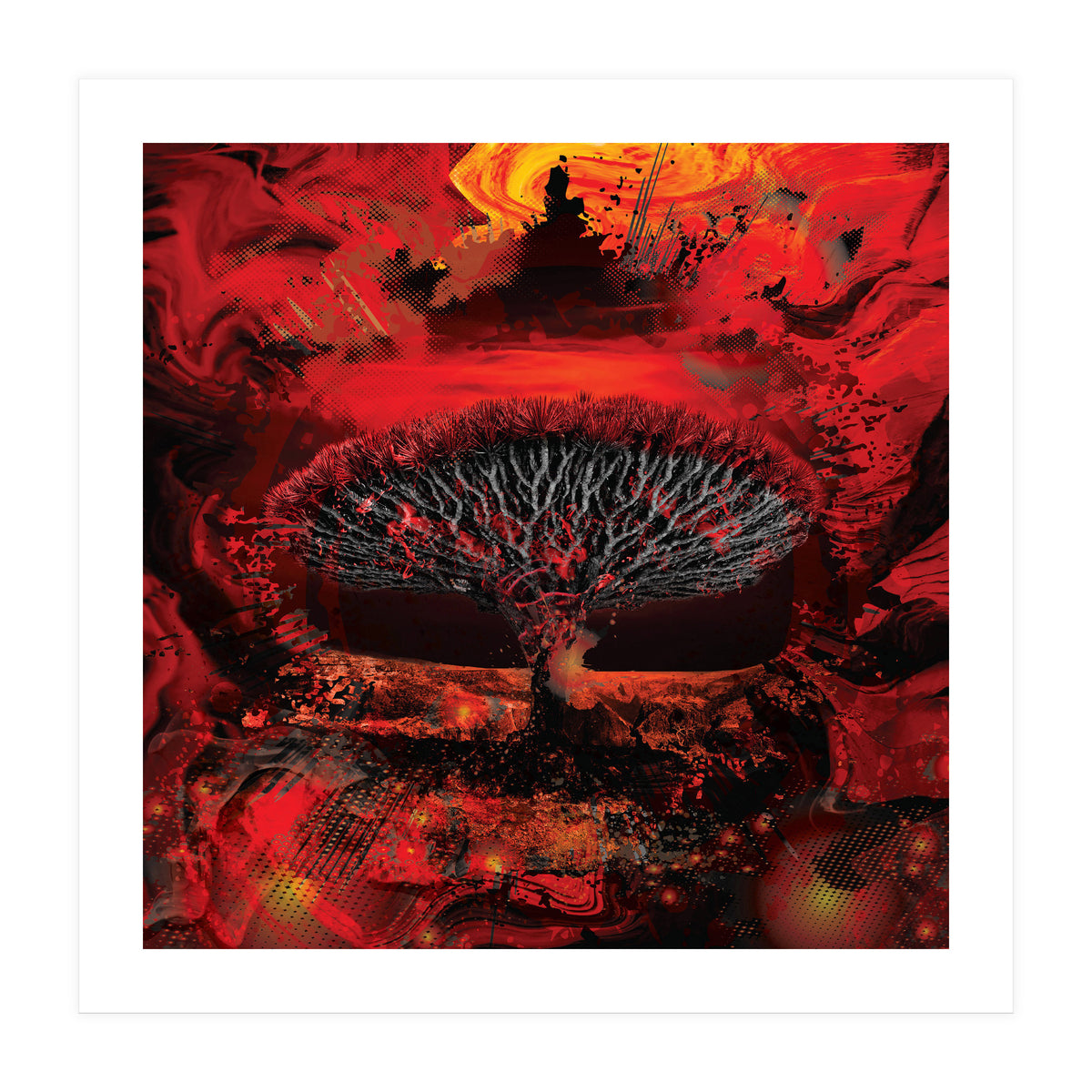 Socotra Dragon Blood tree (Print Only)