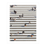 Rain Crossing | Polka Dots Zebra Crossing On The Street | Rain Eclectic Modern Graphic Design (Print Only) thumbnail