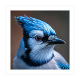 Close Up Portrait Of A Blue Jay Bird (Print Only) thumbnail