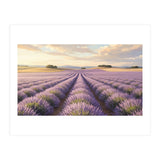 Provençal Sunset: Lavender Field Landscape (Print Only) thumbnail