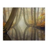 Bent trees in autumn (Print Only) thumbnail