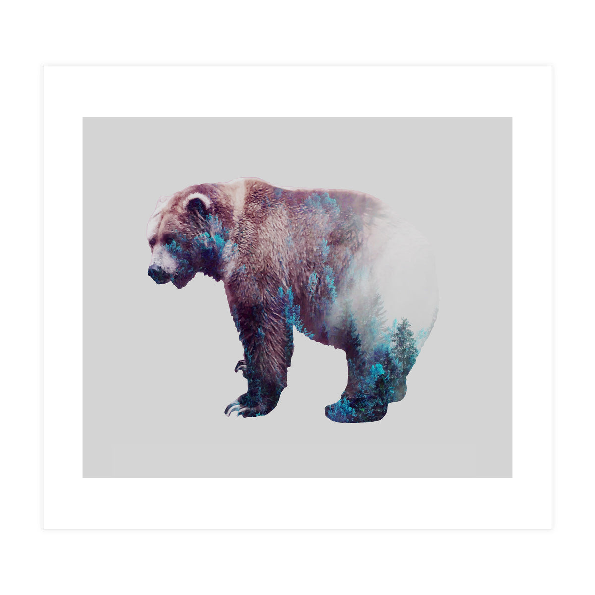 Repressed Transformation (Print Only)