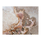 Discovery (Print Only) thumbnail