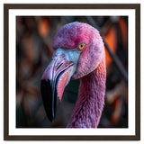 Close Up Of A Pink Flamingo Bird Face thumbnail