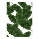 Banana Leaves V2 (Print Only) thumbnail