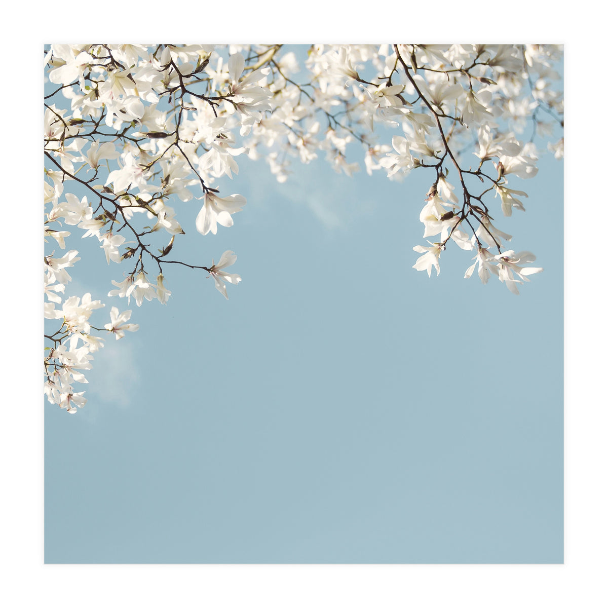 Symphony Blues (Print Only)