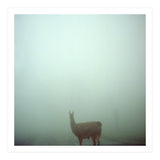 Silence of breath - 04 (Print Only) thumbnail