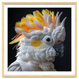 Close Up Of A Cockatoo Parrot With Yellow Crest thumbnail