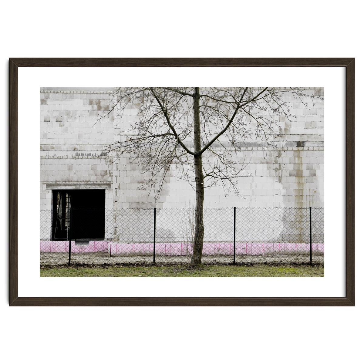 A tree in front of the wall