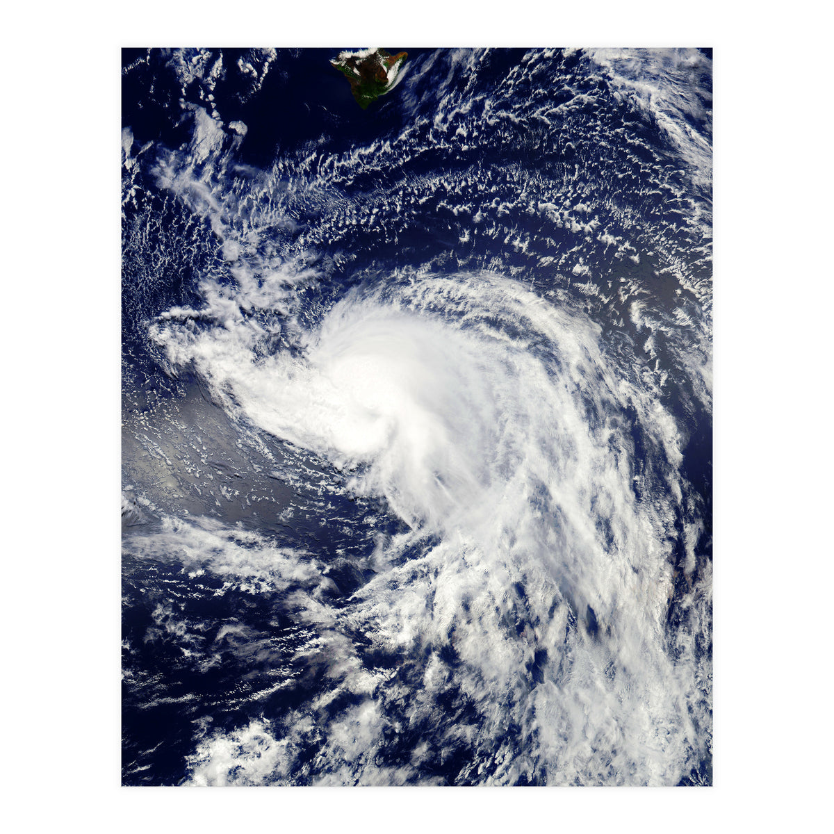 Sea Of Hearts (Print Only)