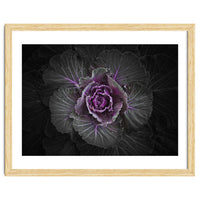 Backyard Flowers No 108 Color Version