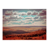 Dartmoor Forest (Print Only) thumbnail
