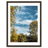 Autumn Evening thumbnail