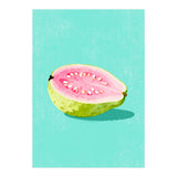 Guava Fruit Illustration (Print Only) thumbnail