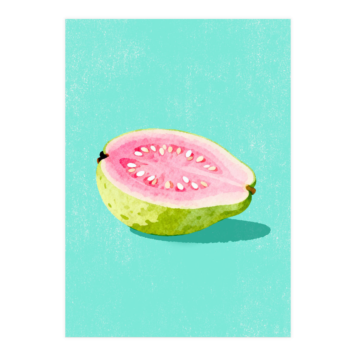 Guava Fruit Illustration (Print Only)