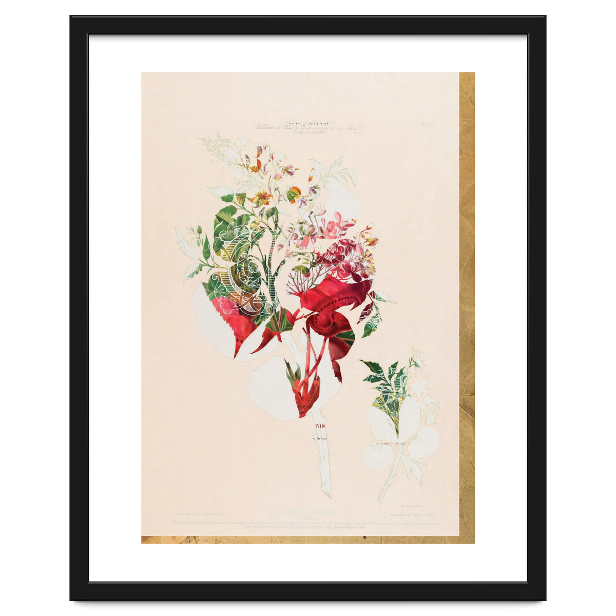 The First Plant · Aufbluehen