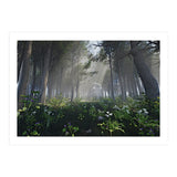 Art In The Forest (Print Only) thumbnail