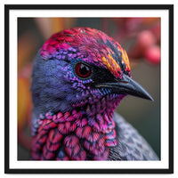 Vibrant Exotic Bird Detailed Feather Close Up