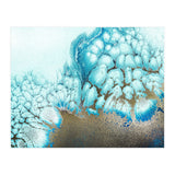 Moonlit Reef (Print Only) thumbnail