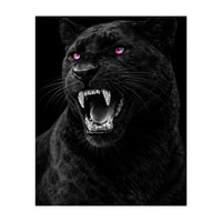 Black leopard with colorful eyes portrait (Print Only)
