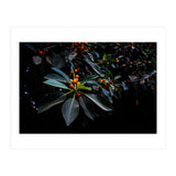 Orange, Green and Dark (Print Only) thumbnail