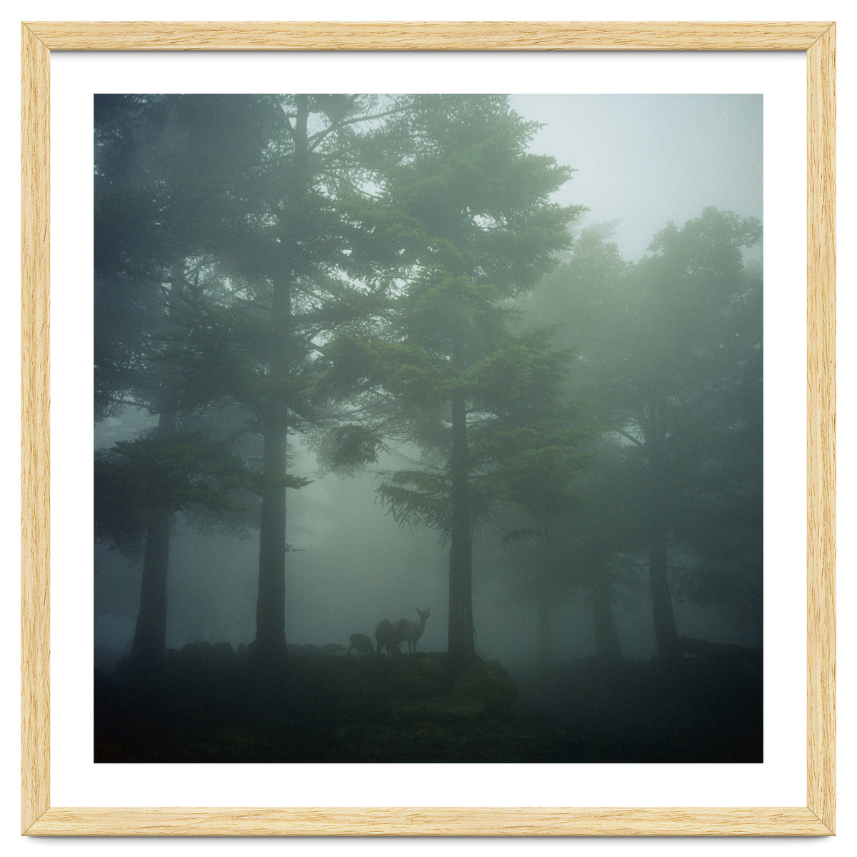 Silence of breath - 10