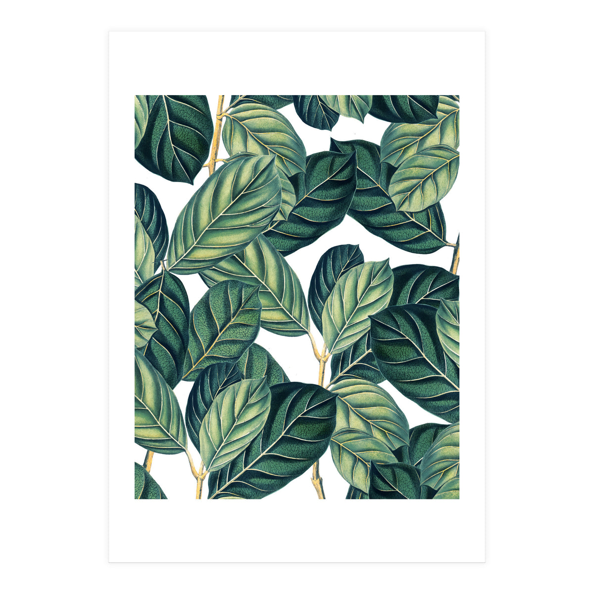 Botany #society6 #decor #buyart (Print Only)