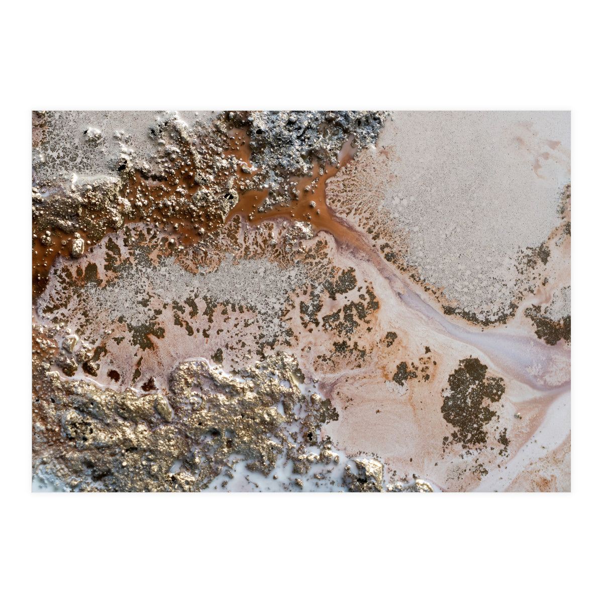 Conection (Print Only)