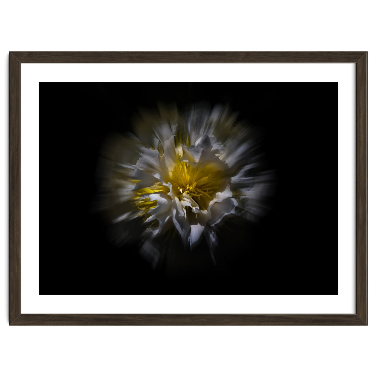 Backyard Flowers No 25 Color Flow Version