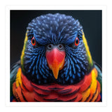 Close Up Of A Colorful Rainbow Lorikeet Bird (Print Only) thumbnail