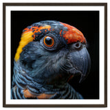 Close Up Of A Colorful Parrot Bird's Head thumbnail