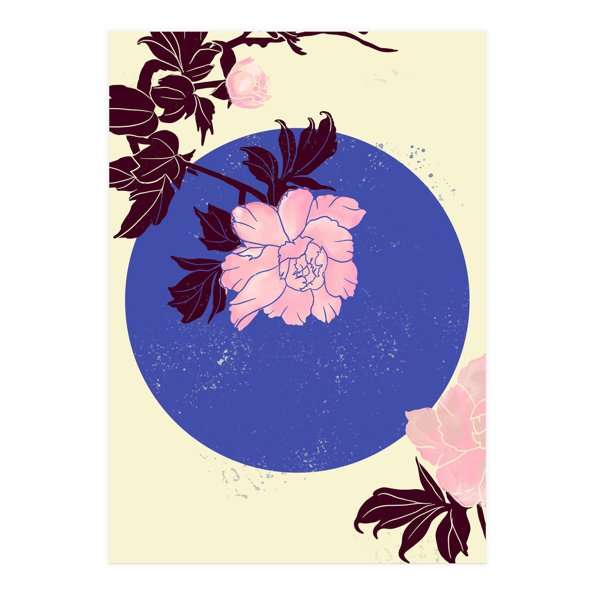 Peony (Print Only)