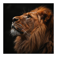 Majestic Lion Portrait Profile Majestic Beast (Print Only)
