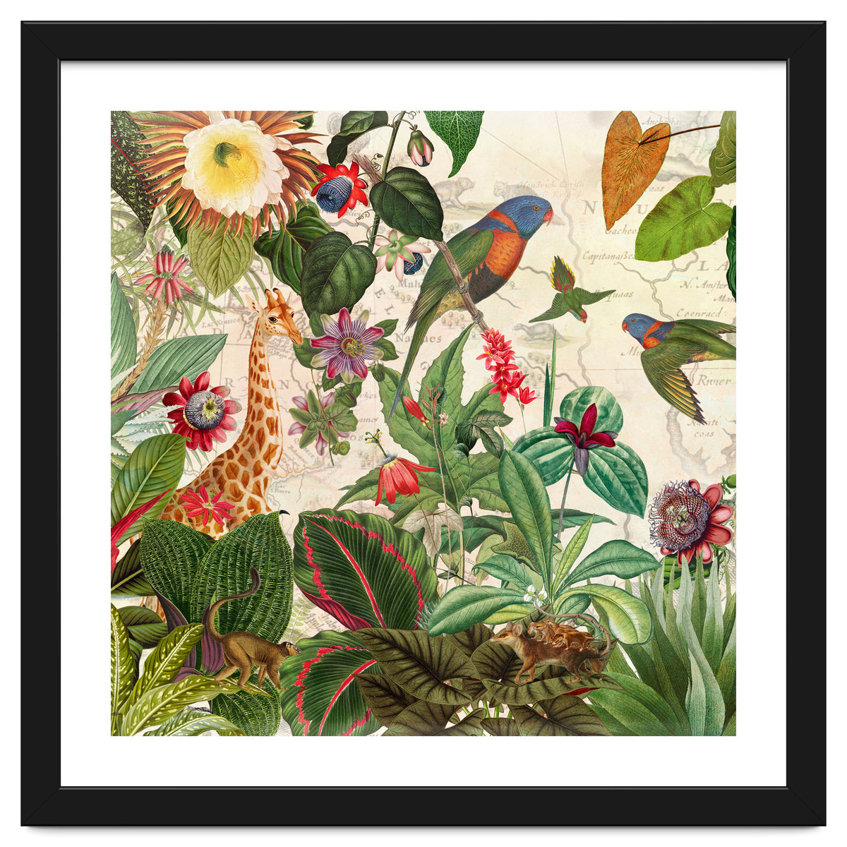 Exotic Lush Jungle And Wild Animals Landscape