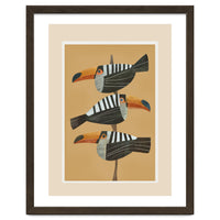 Tropic Trio