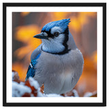 Blue Jay Bird In Winter Snowfall And Leaves thumbnail