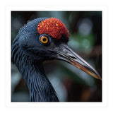 Black Crane Bird Head With Red Crown And Raindrops (Print Only) thumbnail