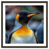 King Penguin With Water Droplets On Its Head thumbnail
