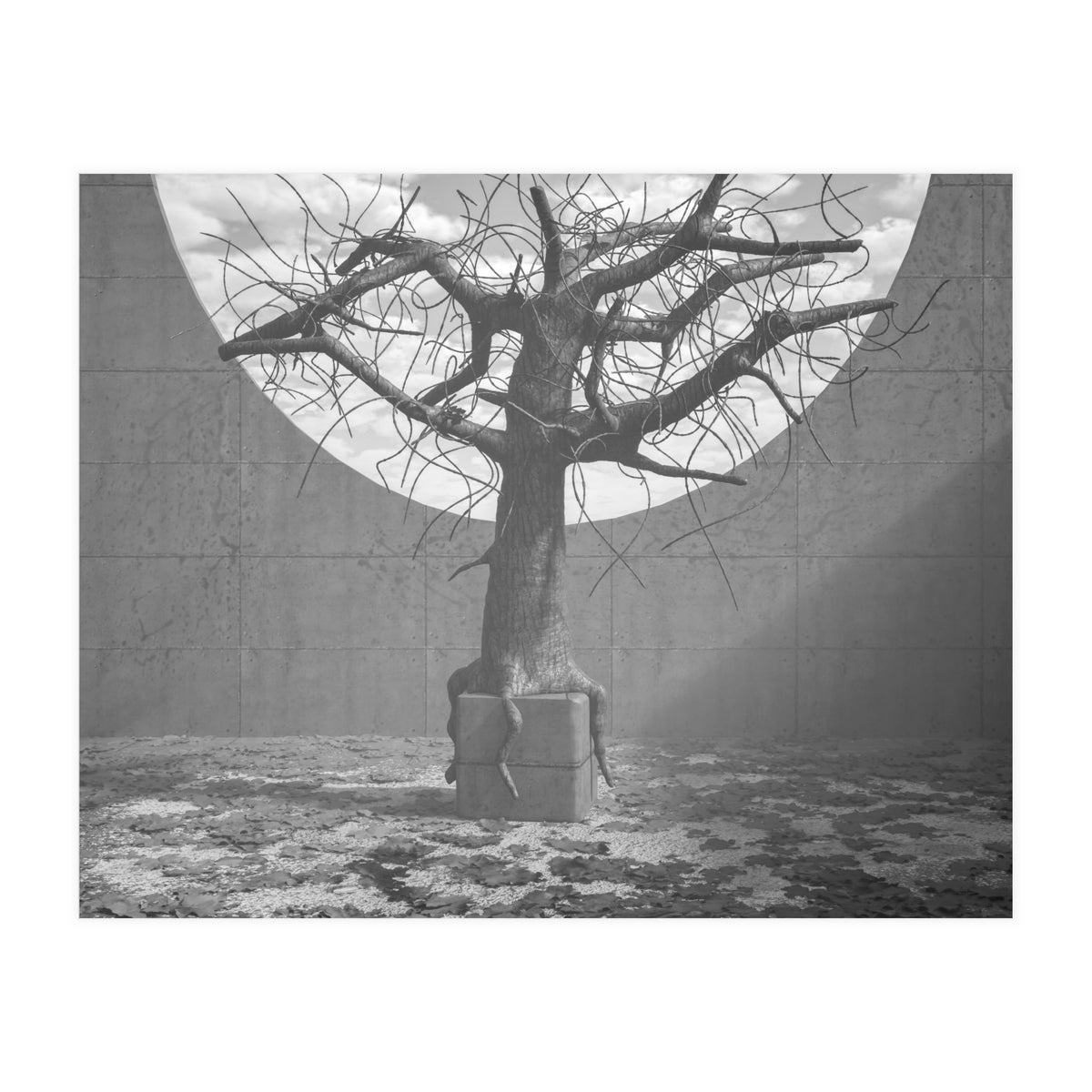 Roots of Resistance BW (Print Only)