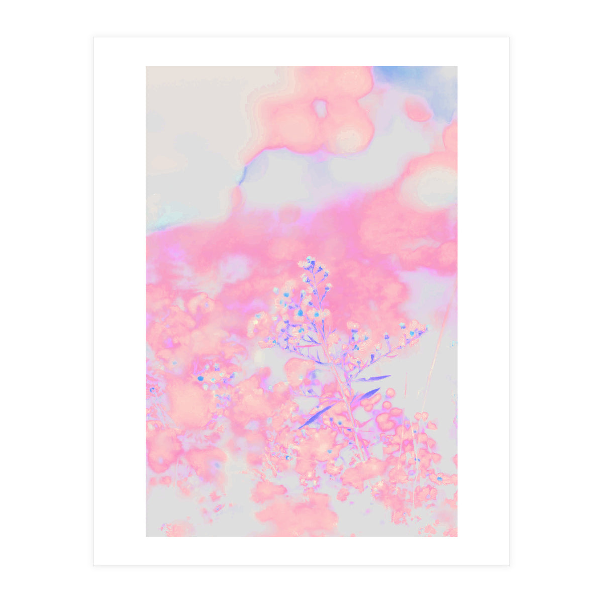 Chamomile (Print Only)